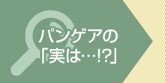 パンゲアの「実は…!?」