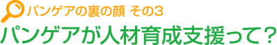 パンゲアの裏の顔 その3 パンゲアが人材育成支援って？