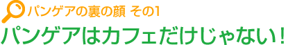 パンゲアの裏の顔 その1 パンゲアはカフェだけじゃない！
